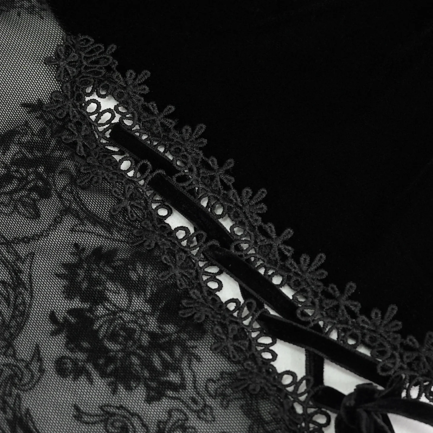 Virelle – Sheer Lace Gothic Maxi Dress - Image 13